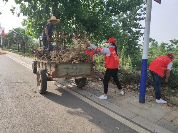 6月3日，黄泥岗镇万郢村清理沿线柴堆 拍摄者：周玉娟 工作单位：黄泥岗镇万郢村.jpg