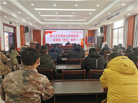 省两会精神宣讲进社区.jpg