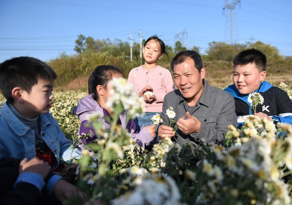 11月13日，在滁州市南谯区大柳镇安亩家庭农场滁菊种质资源保护区，当地小学生来到农场听高级农艺师讲解滁菊培育和采摘知识，了解现代农业发展，学习农业生产技能，体验劳动乐趣。（2）.jpg