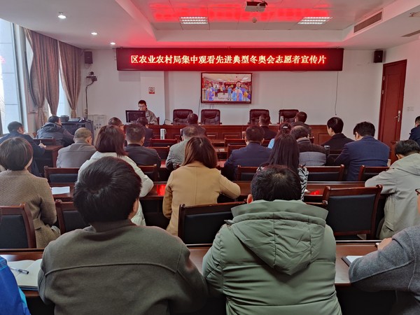 2022年2月28日，区农业农村局集中观看学习先进典型冬奥会志愿者宣传片.jpg