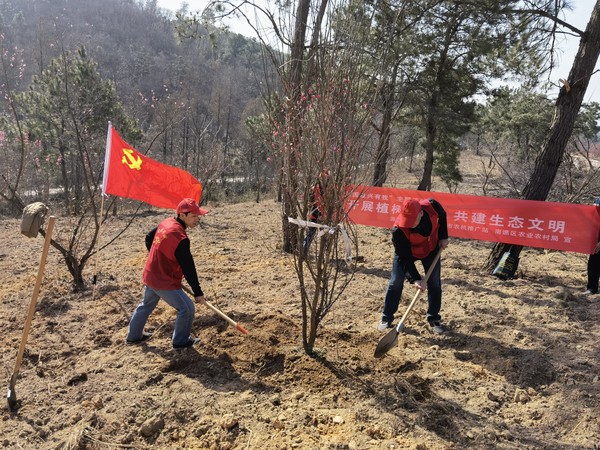 2022年3月9日，区农业农村局在红琊山林场开展&ldquo;植树护绿，共建生态文明&rdquo;主题实践活动 (2).jpg