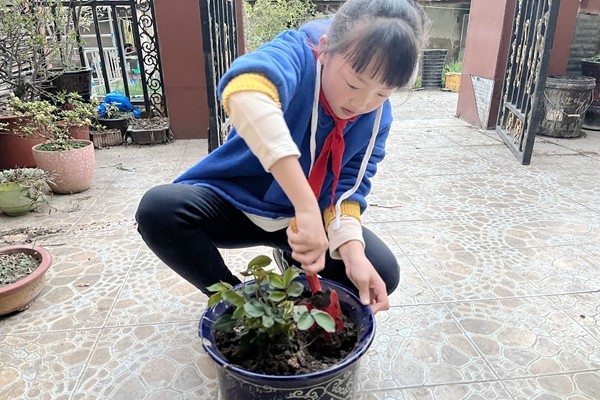 QQ图片20220311073718.jpg