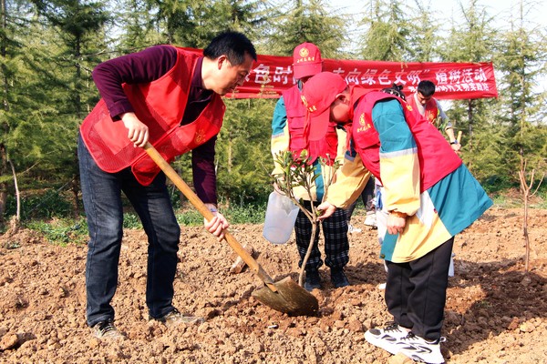 乌衣6.jpg
