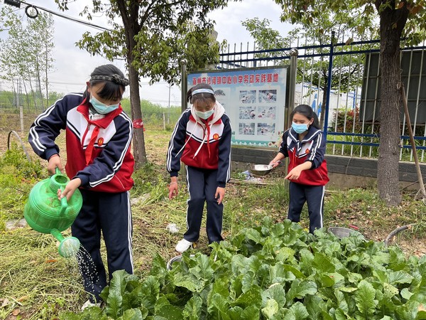 到学校劳动实践基地快乐劳动.jpg