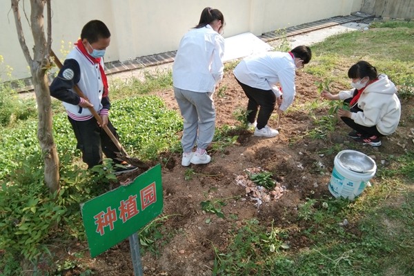 QQ图片20220419201832.jpg