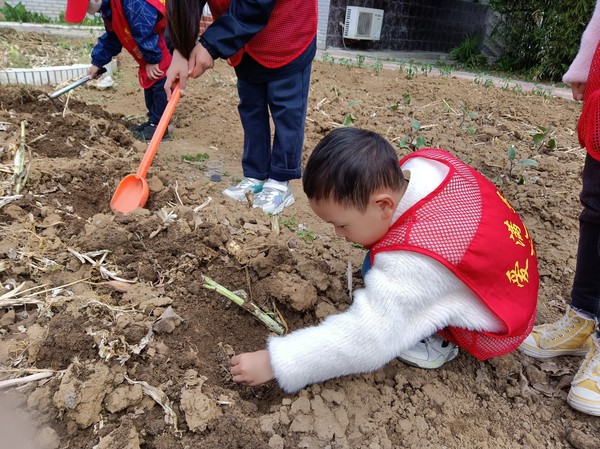 4月16日，乌衣镇乡村复兴少年宫“爱在春天 播种绿色” 拍摄：王萍 单位：乌衣社区 (2).jpg