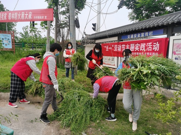 滁州市南谯区沙河镇油坊村新时代文明实践站2022年4月27日“五一”劳动节主题实践活动3（拍摄者：杨雨；拍摄单位：南谯区沙河镇油坊村委会）.jpg.jpg