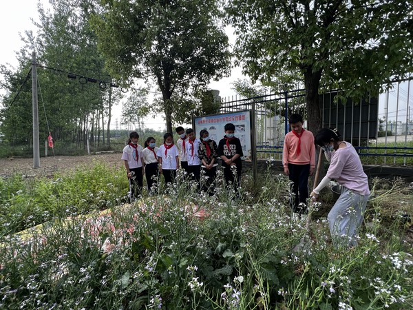 学习翻地.jpg