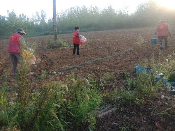 2022年9月2日油坊村新时代文明实践站开展环境美化志愿服务 （拍摄者：杨雨&lsquo;拍摄单位：南谯区沙河镇油坊村委会）.jpg