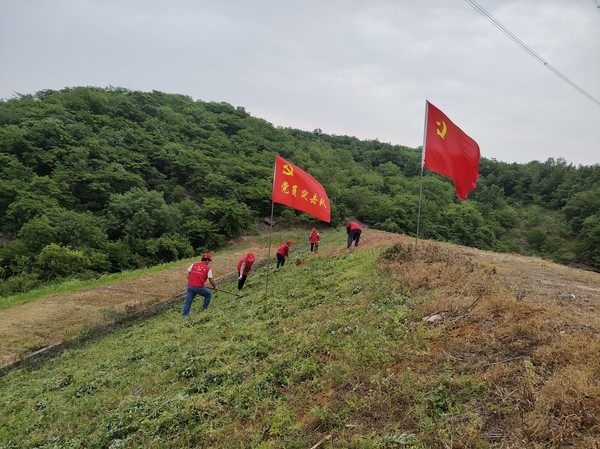 荣誉村组织志愿者开展环境整治工作.jpg