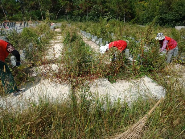2022年9月16日油坊村志愿者开展清理杂草活动 （拍摄者：杨雨；拍摄单位：南谯区沙河镇油坊村委会）.jpg