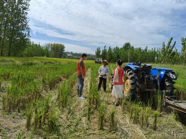 志愿者走进田间地头开展秸秆禁烧宣传.jpg