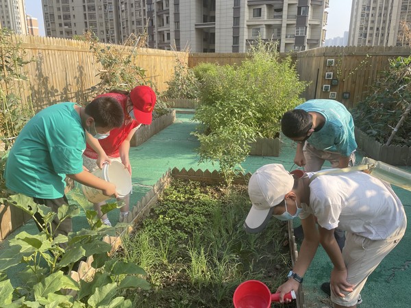 一米阳光 快乐种植1.JPG