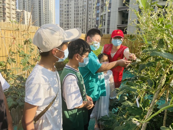 一米阳光 快乐种植2.JPG