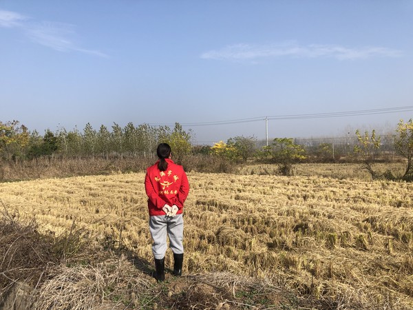 白米村秸秆禁烧.jpg