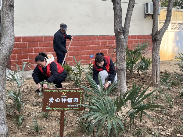补绿植扮靓小区.jpg