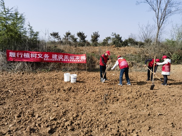 南谯区农业农村局、区农业机械化管理中心2023年3月9日在乌衣镇双庙村开展“履行植树义务  建设美丽家园”文明实践活动 (2).jpg