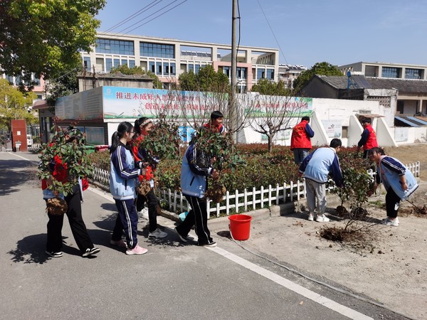 植树节2.jpg