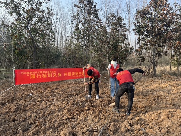 2023年3月9日沙河社区新时代文明实践站组织志愿者开展“履行植树义务 共建美丽家园”义务植树主题活动（拍摄者：王淼；拍摄单位：南谯区沙河镇沙河社区） (2).JPG