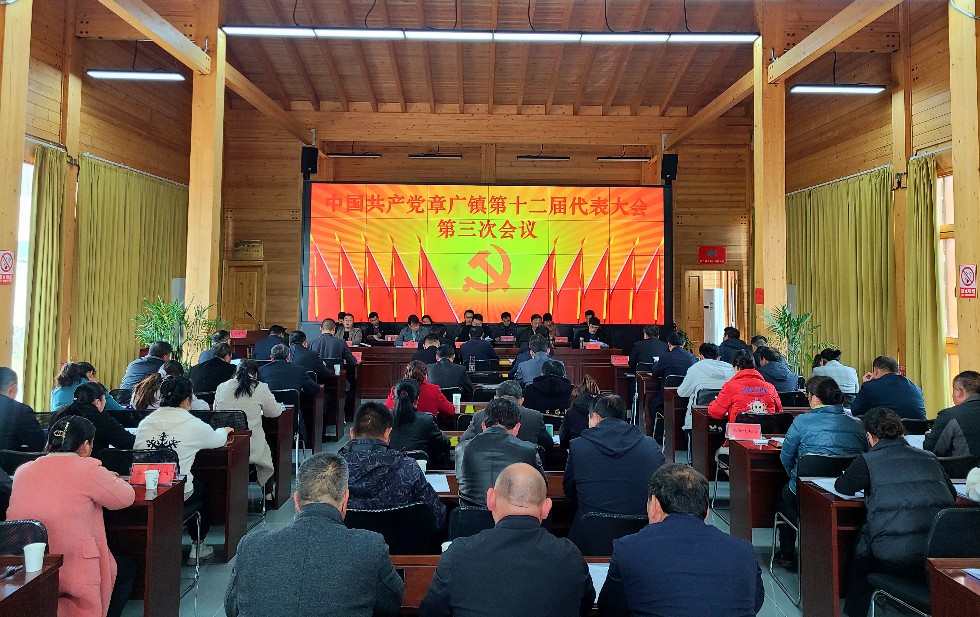 南谯区章广镇&ldquo;四加四新&rdquo;提升党代会年会质效.jpg