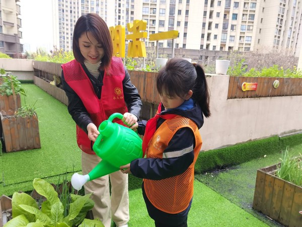 星星点灯 快乐种植.jpg