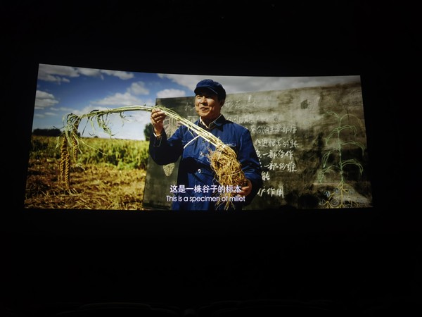 党员2.jpg