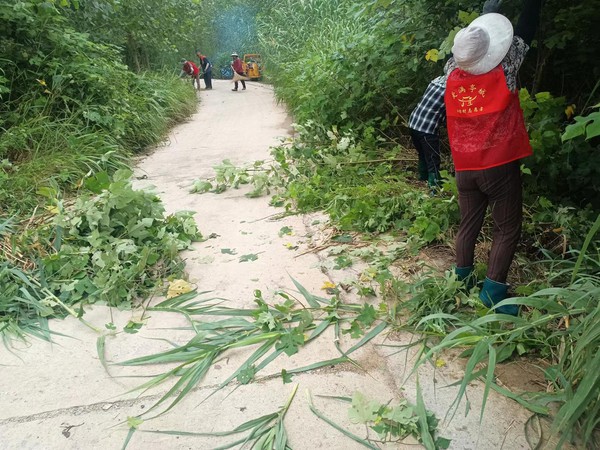 2023年7月21日，滁州市南谯区沙河镇油坊村组织开展&ldquo;人居环境整治&rdquo;活动（拍摄者：刘宏烨；拍摄单位：南谯区沙河镇油坊村）_proc.jpg