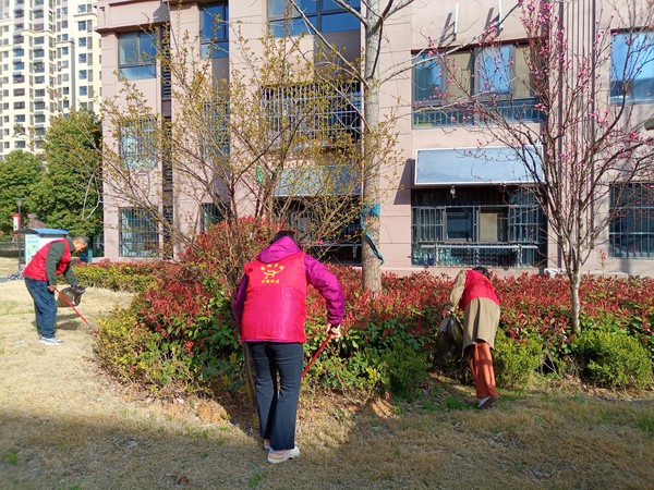 万桥社区开展“周五一小时 扮靓我的家”志愿服务活动 (2).jpg