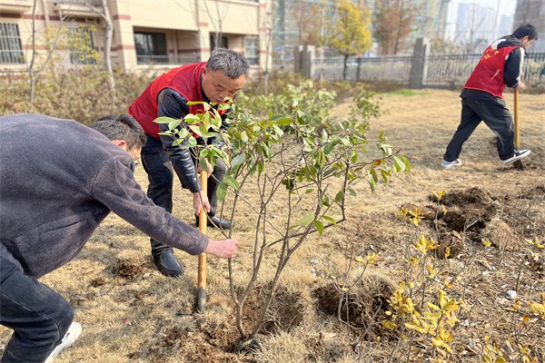 2024年3月12日乌衣镇吕赵社区开展“植树添新绿 不负好春光”植树节活动（拍摄单位：吕赵社区 拍摄者：凡晓雪）.jpg