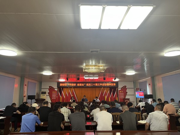 2024年7月29日，腰铺镇开展“举旗帜 送理论”党的二十届三中全会宣讲.jpg