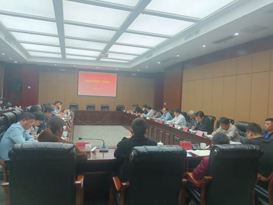 文明花开满城芳——南谯区精神文明建设工作综述2469.png