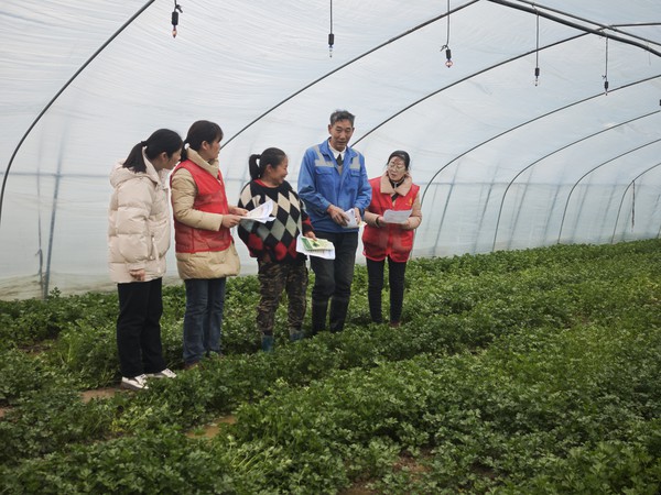 3.5南谯区开展蔬菜安全生产技术指导.jpg
