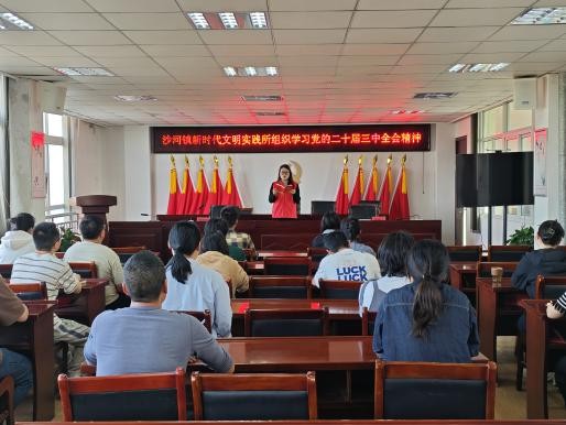 沙河镇新时代文明实践所组织学习二十届三中全会精神.png